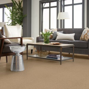 Living room carpet flooring | Carpet Exchange